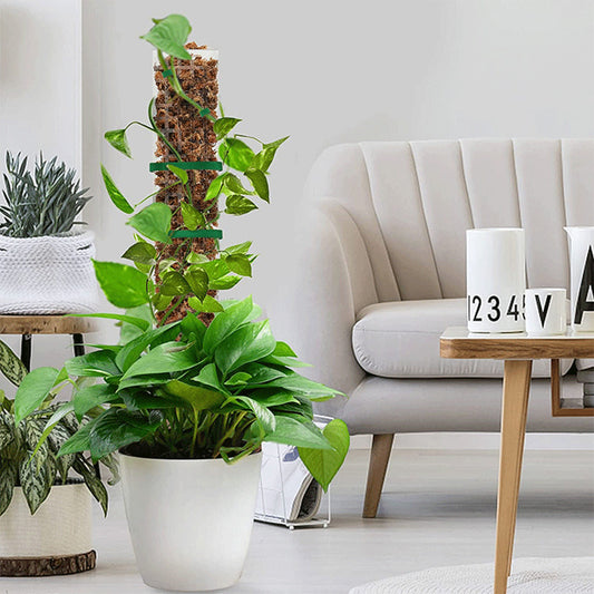 Plastic moss support pole for climbing potted plants