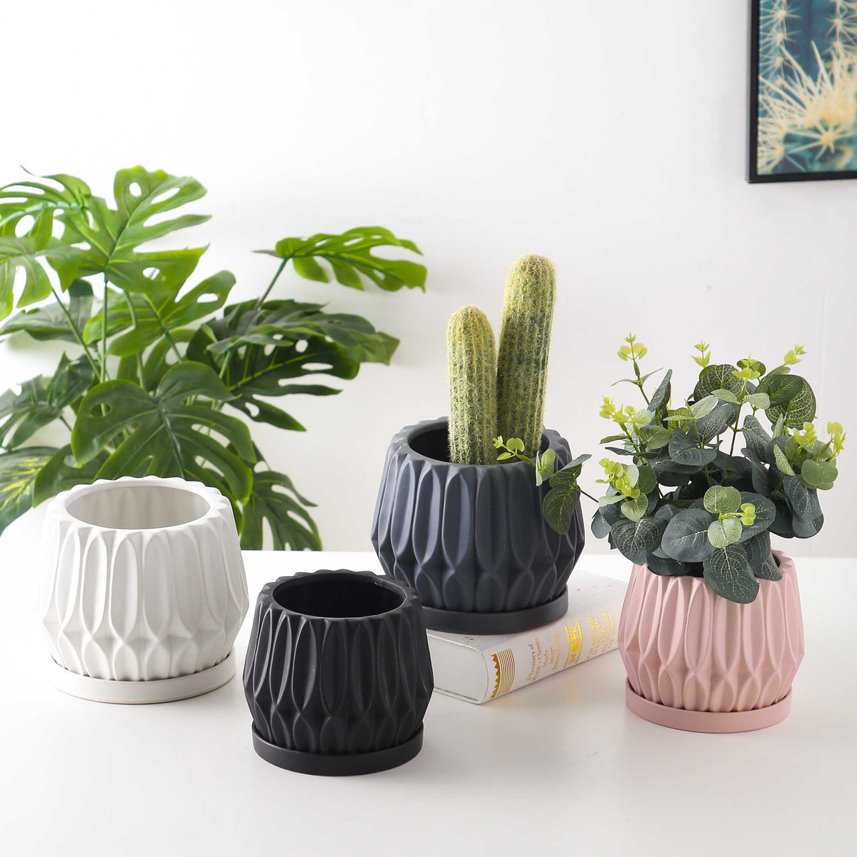 Tabletop flowerpot for small indoor plants and flowers